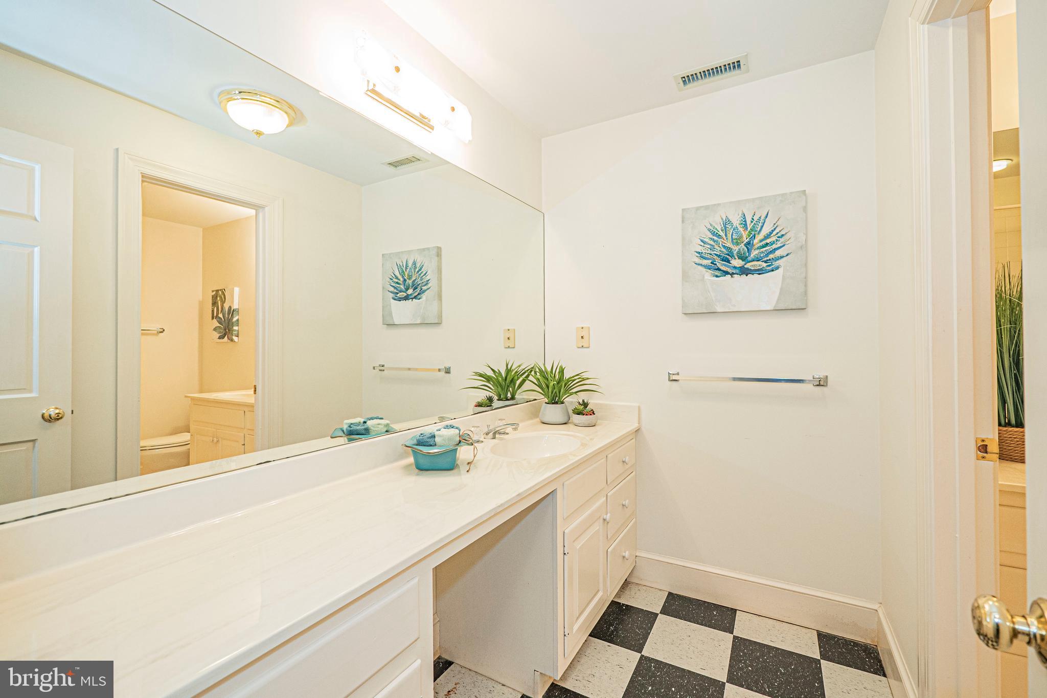 10100 Watkins Road Gaithersburg, MD 20882 - Photo 80 of 113 Lower Level - Hall Full Bathroom