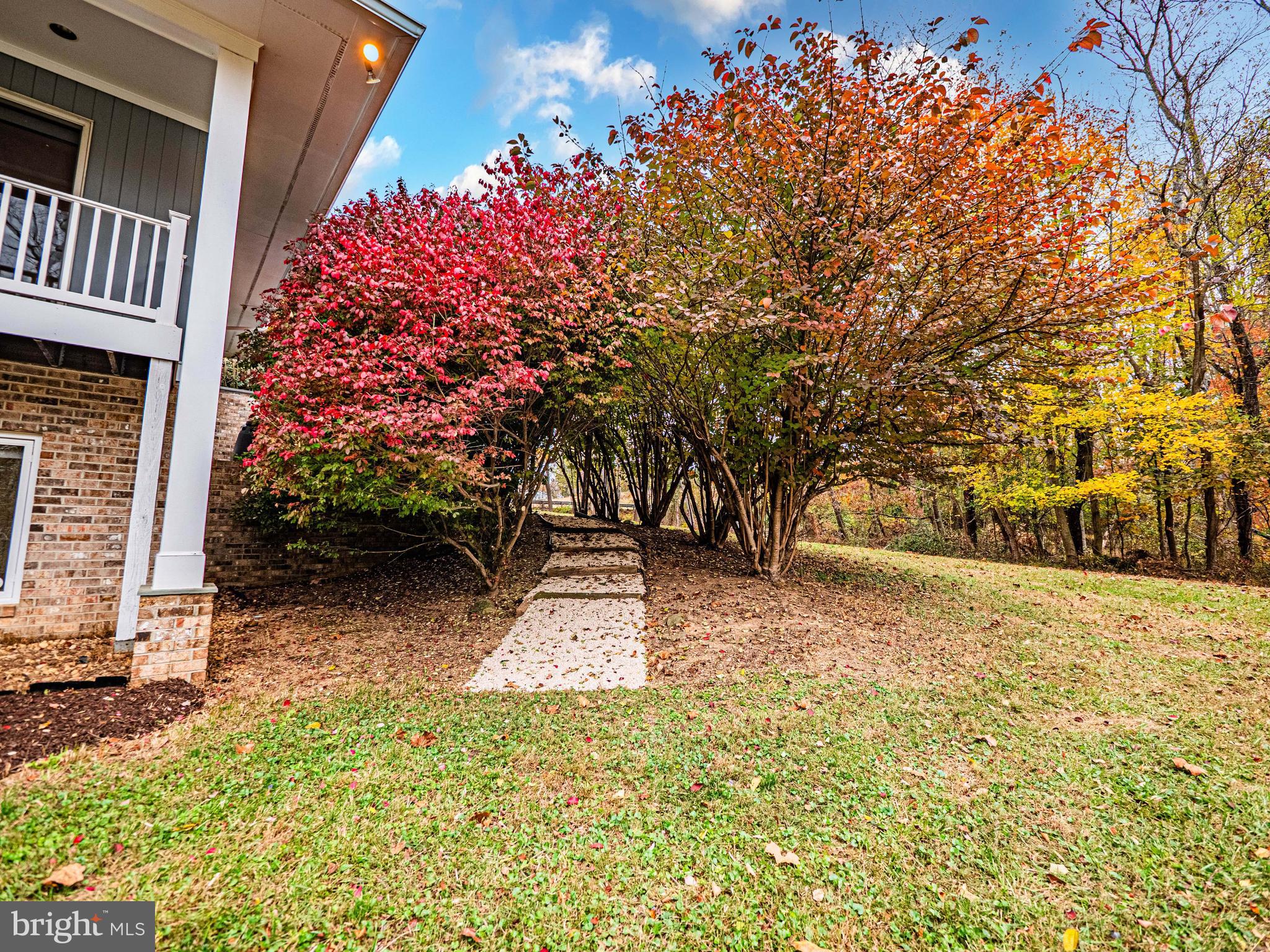 10100 Watkins Road Gaithersburg, MD 20882 - Photo 90 of 113 a view of a backyard with a tree