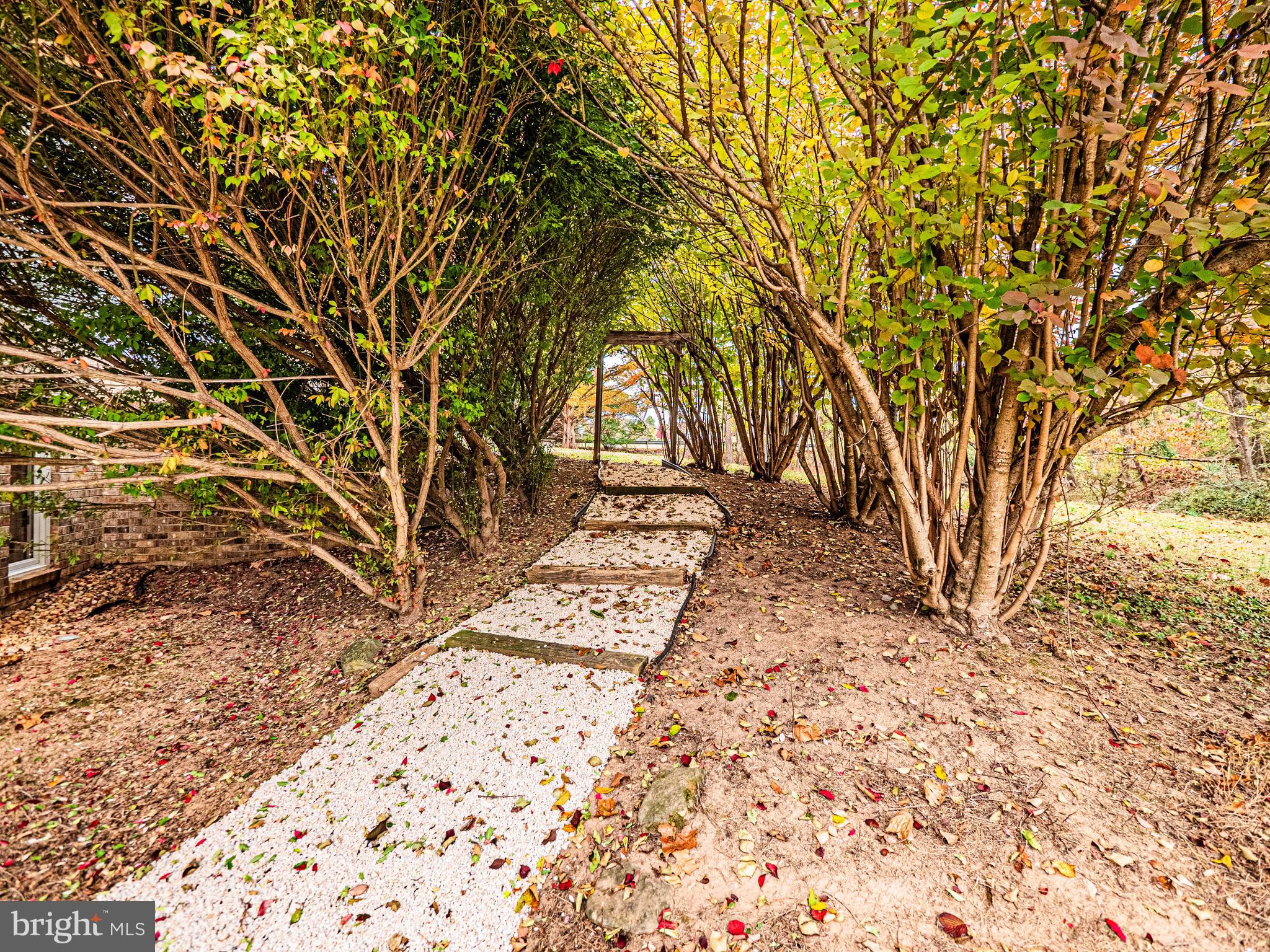 10100 Watkins Road Gaithersburg, MD 20882 - Photo 91 of 113 Exterior - Side Path