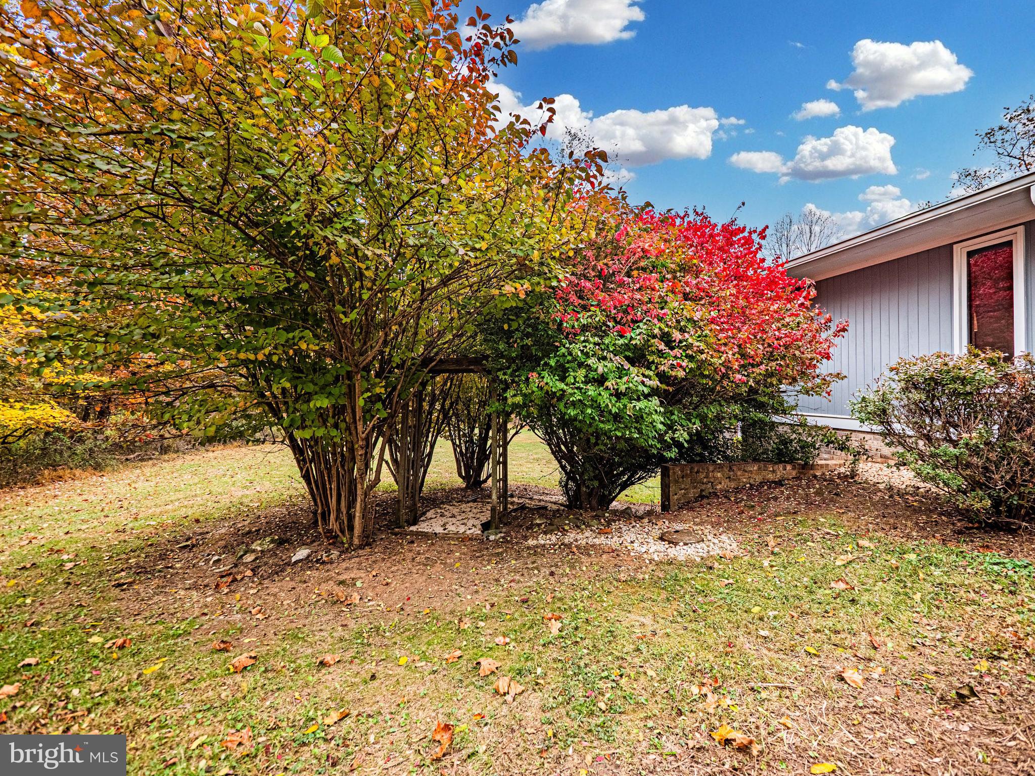 10100 Watkins Road Gaithersburg, MD 20882 - Photo 92 of 113 a view of a house with a tree