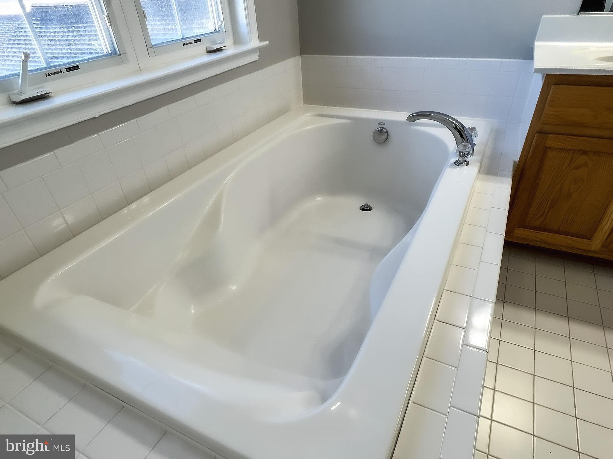 23211 Frederick Road Clarksburg, MD 20871 - Photo 35 of 50 Master Soaking Tub