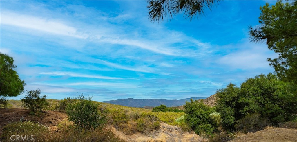 34224 Olive Grove Road Wildomar, CA 92595 - Photo 41 of 58