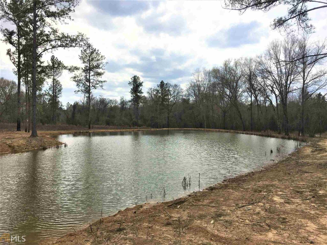 750 Modoc Road Swainsboro, GA 30401 - Photo 1 of 1 Gallery Image 1