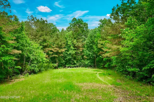 a view of yard with green space