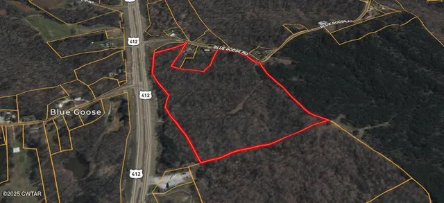 a view of a lush green forest