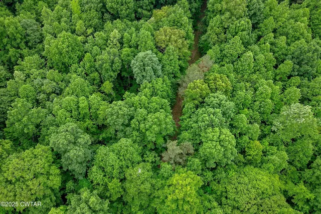 a view of a green field