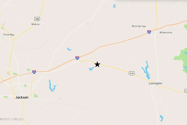 a view of a yard with a street and plants