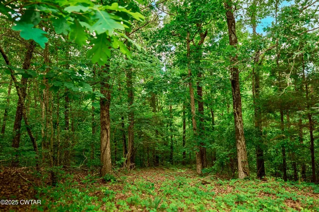 a view of outdoor space and green space