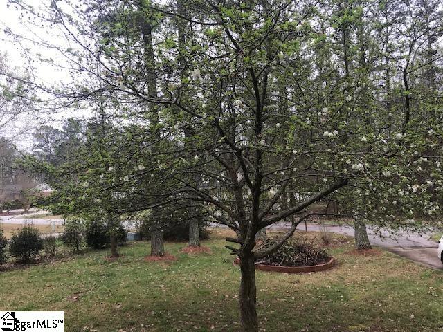 210 State Rd S-30-874 Clinton, SC 29325 - Photo 24 of 24 Gallery Image 24