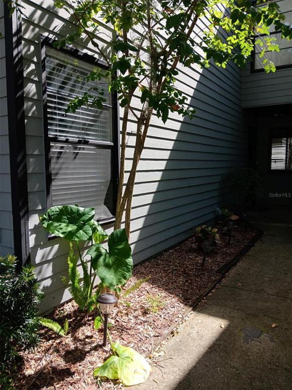 4419 Southwest 20th Lane Gainesville, FL 32607 - Photo 4 of 24