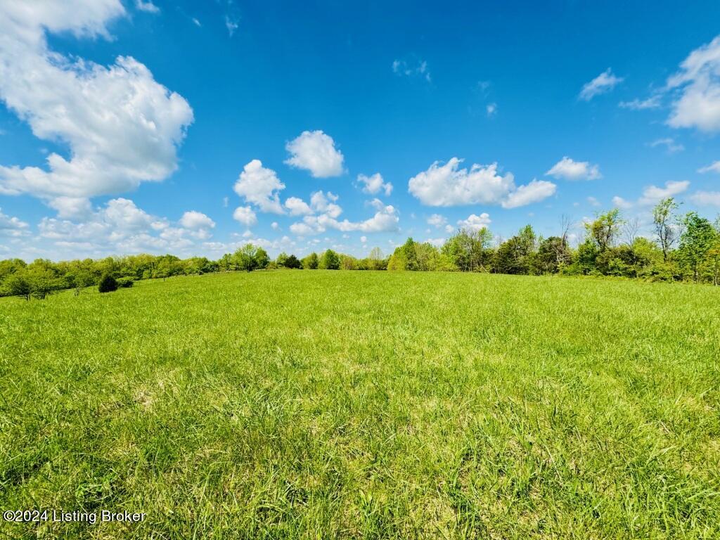 901 Haydon Bros Road Springfield, KY 40069 - Photo 4 of 14 IMG_8279