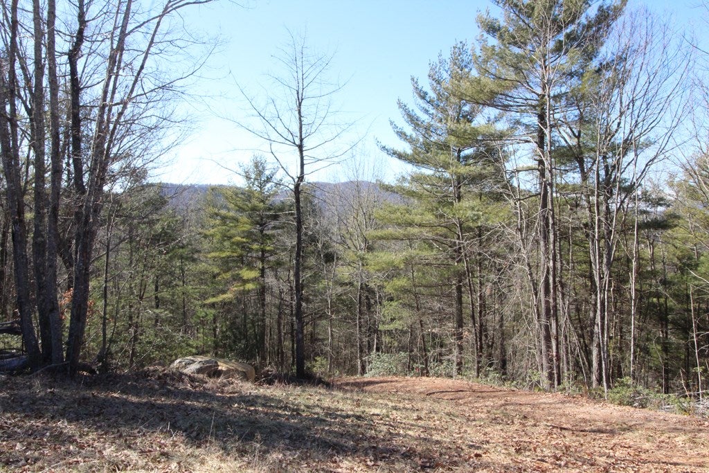 Tbd Ivanhoe Road, Unit 60A34 Fries, VA 24330 - Photo 19 of 45 Gallery Image 19