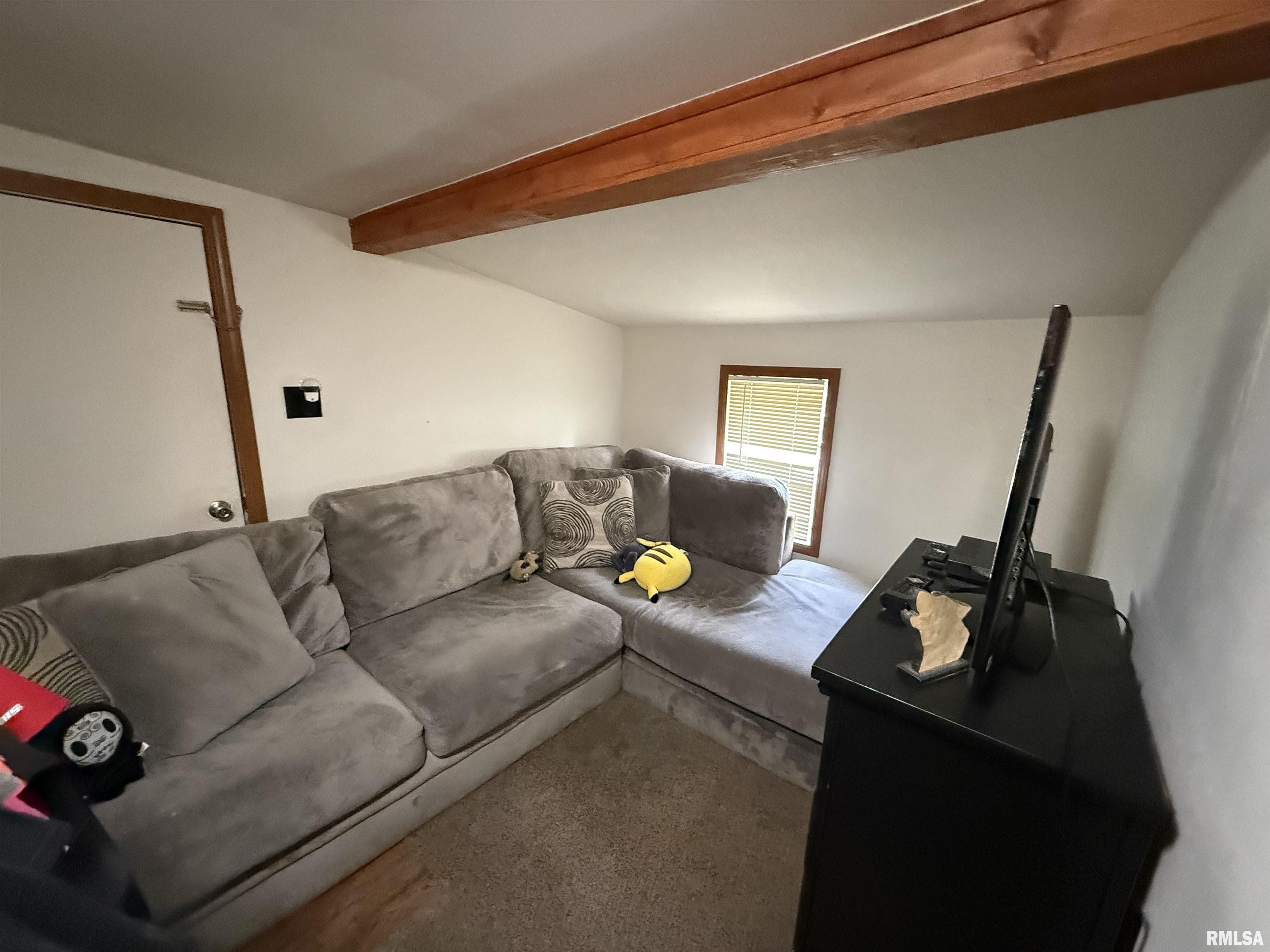 116 Wilson Street Hurst, IL 62949 - Photo 8 of 11