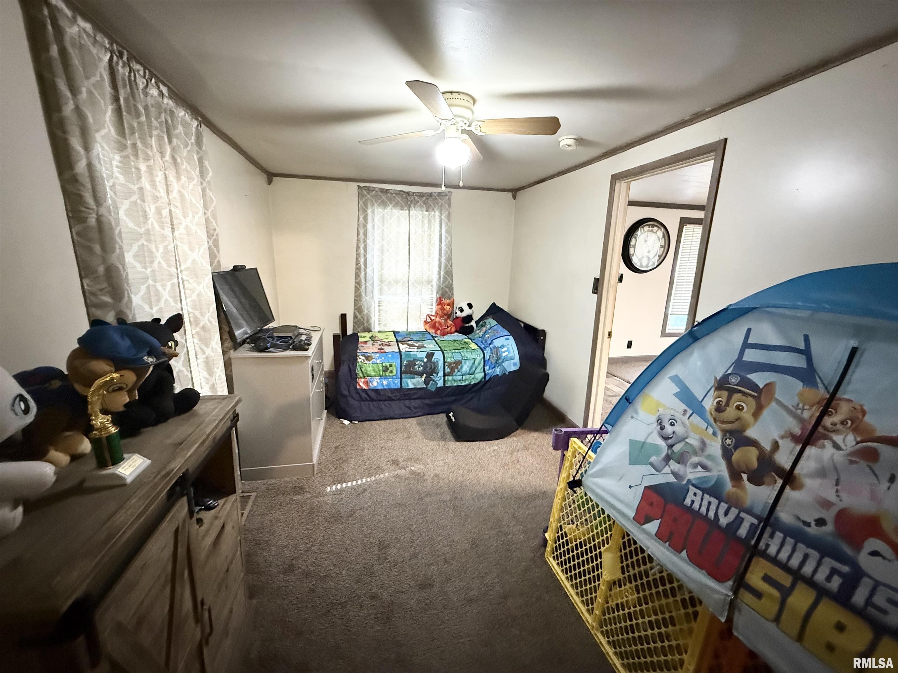 116 Wilson Street Hurst, IL 62949 - Photo 9 of 11