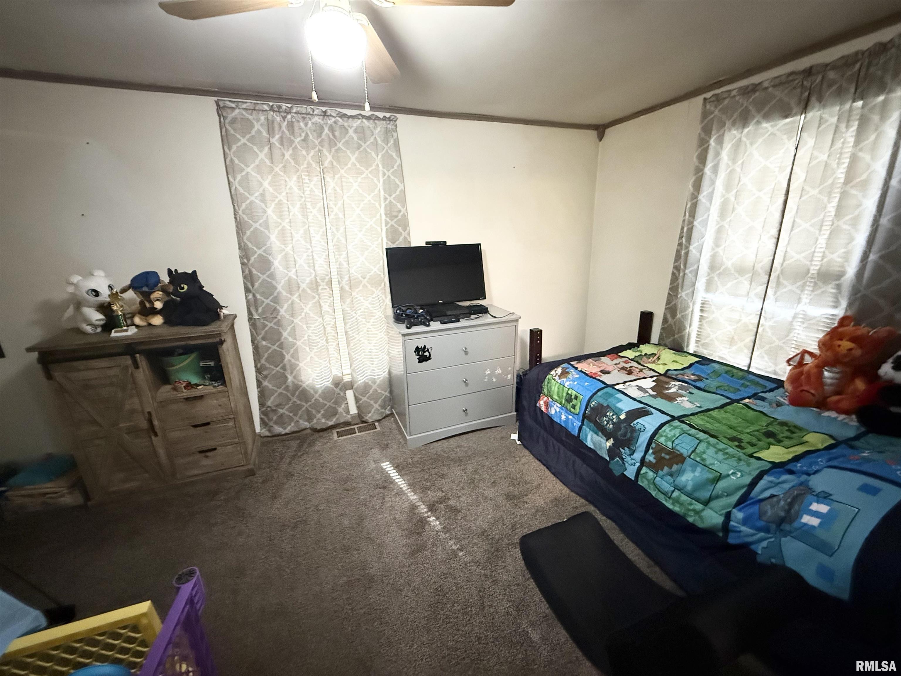 116 Wilson Street Hurst, IL 62949 - Photo 10 of 11