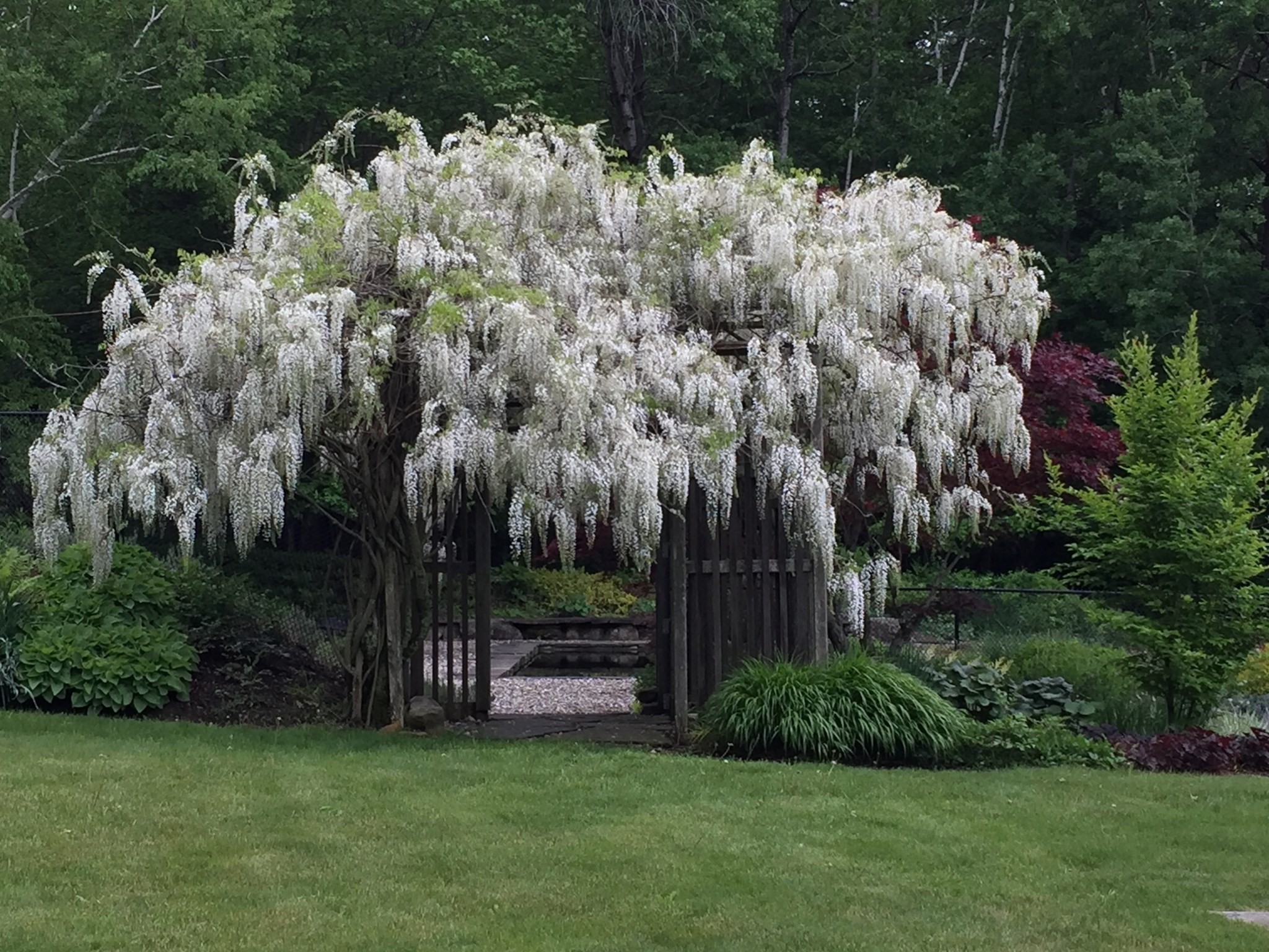 128 Leverett Road Shutesbury, MA 01072 - Photo 33 of 42 Gallery Image 33