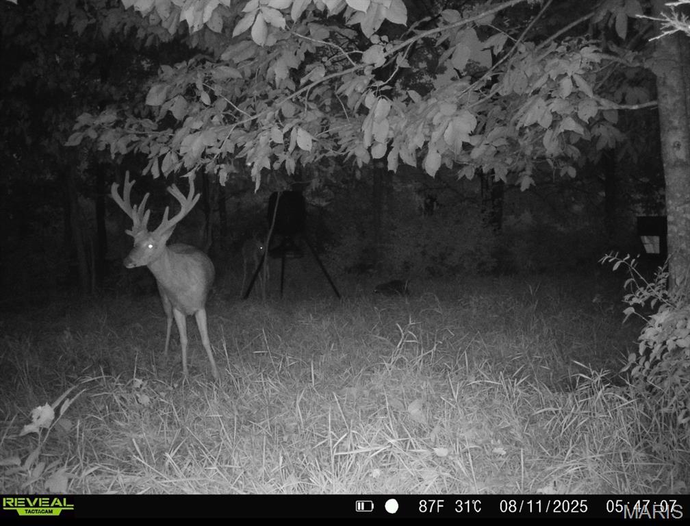 23235 Dalton Road Warrenton, MO 63383 - Photo 14 of 21