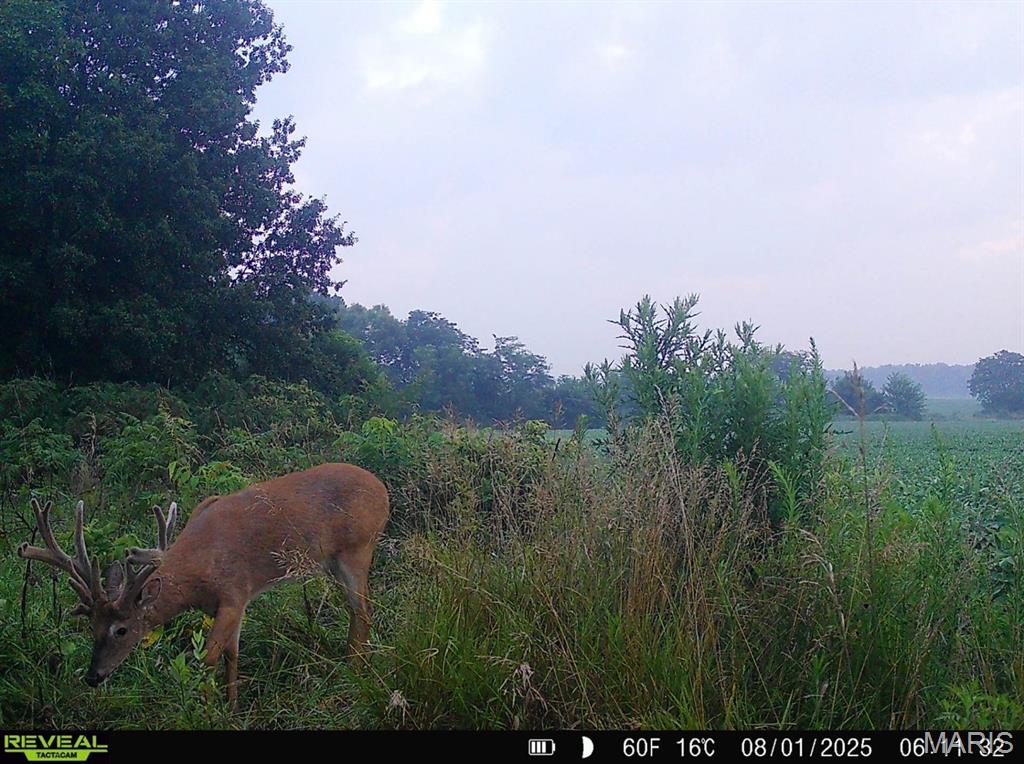 23235 Dalton Road Warrenton, MO 63383 - Photo 15 of 21
