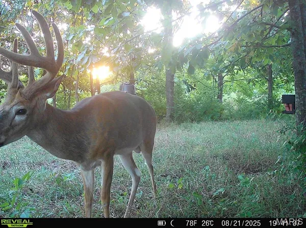 $295,000 | 23235 Dalton Road, Warrenton, MO 63383