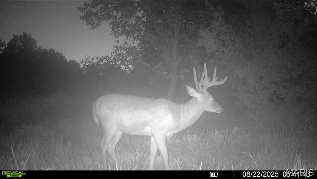 23235 Dalton Road Warrenton, MO 63383 - Photo 17 of 21