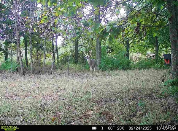 $295,000 | 23235 Dalton Road, Warrenton, MO 63383