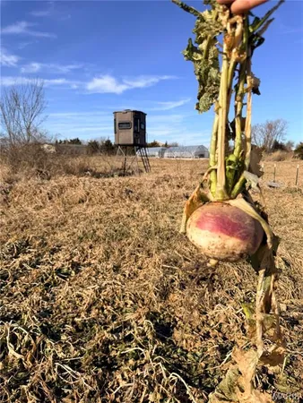 $295,000 | 23235 Dalton Road, Warrenton, MO 63383