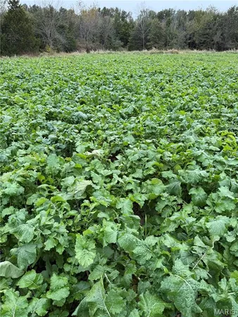 $295,000 | 23235 Dalton Road, Warrenton, MO 63383