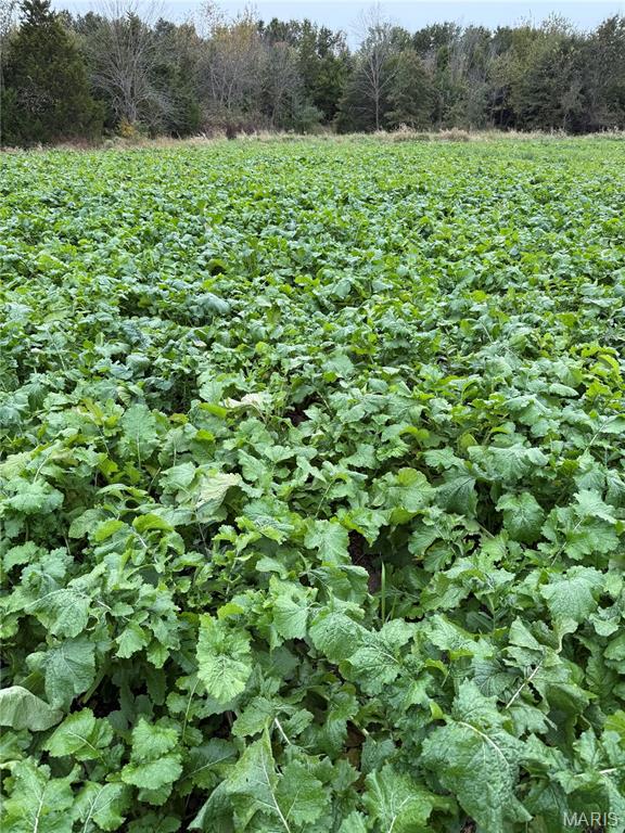 23235 Dalton Road Warrenton, MO 63383 - Photo 20 of 21