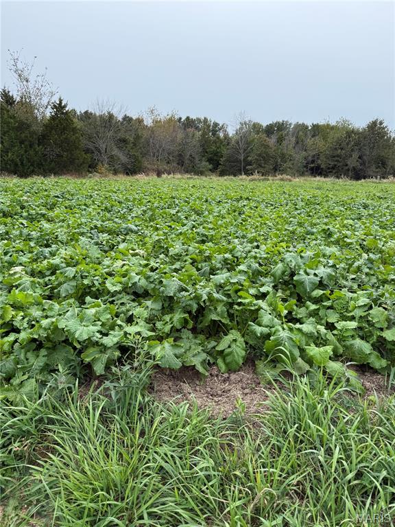 23235 Dalton Road Warrenton, MO 63383 - Photo 21 of 21