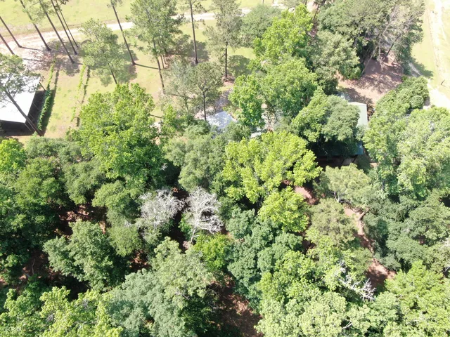 $950,000 | 507 Js McLeod Jr Way, Blakely, GA 39823