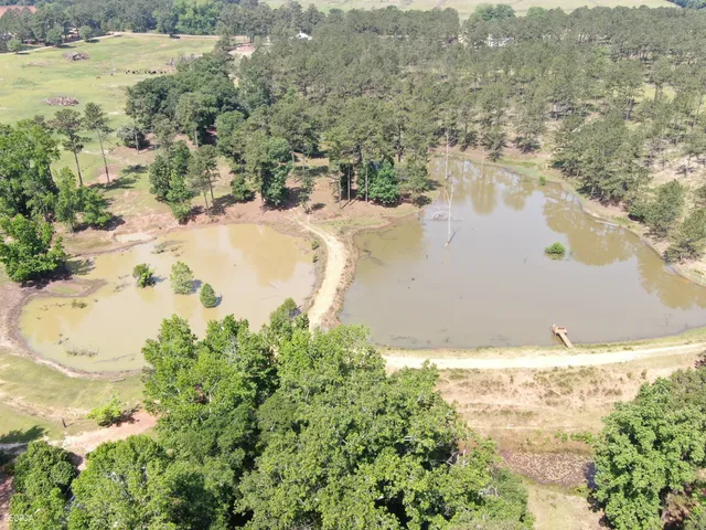 $950,000 | 507 Js McLeod Jr Way, Blakely, GA 39823