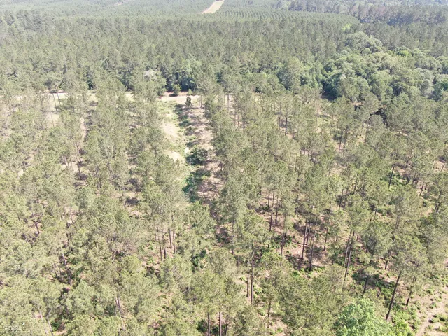 $950,000 | 507 Js McLeod Jr Way, Blakely, GA 39823