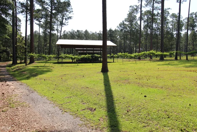 $950,000 | 507 Js McLeod Jr Way, Blakely, GA 39823