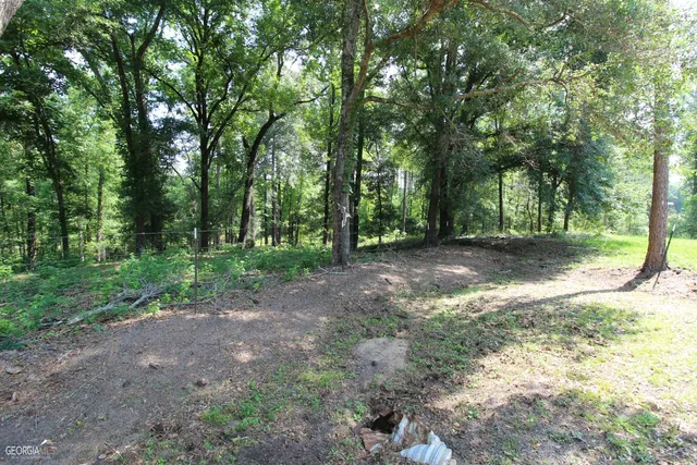 $950,000 | 507 Js McLeod Jr Way, Blakely, GA 39823