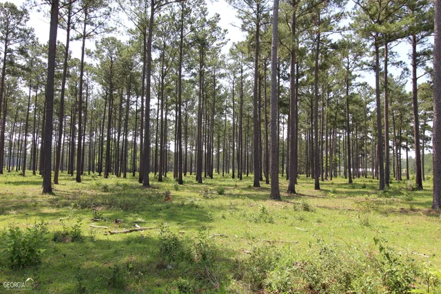 $950,000 | 507 Js McLeod Jr Way, Blakely, GA 39823