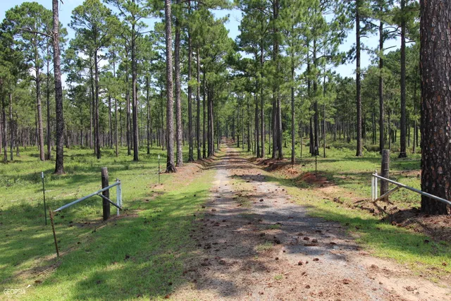 $950,000 | 507 Js McLeod Jr Way, Blakely, GA 39823