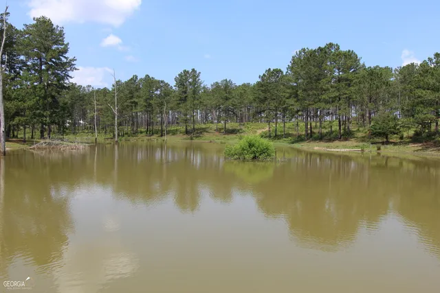 $950,000 | 507 Js McLeod Jr Way, Blakely, GA 39823