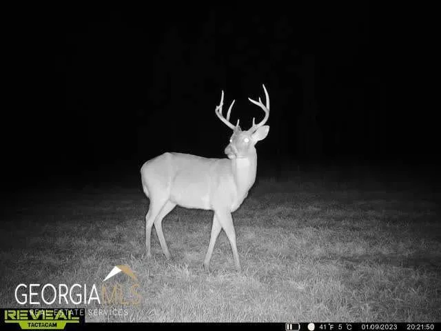 $950,000 | 507 Js McLeod Jr Way, Blakely, GA 39823