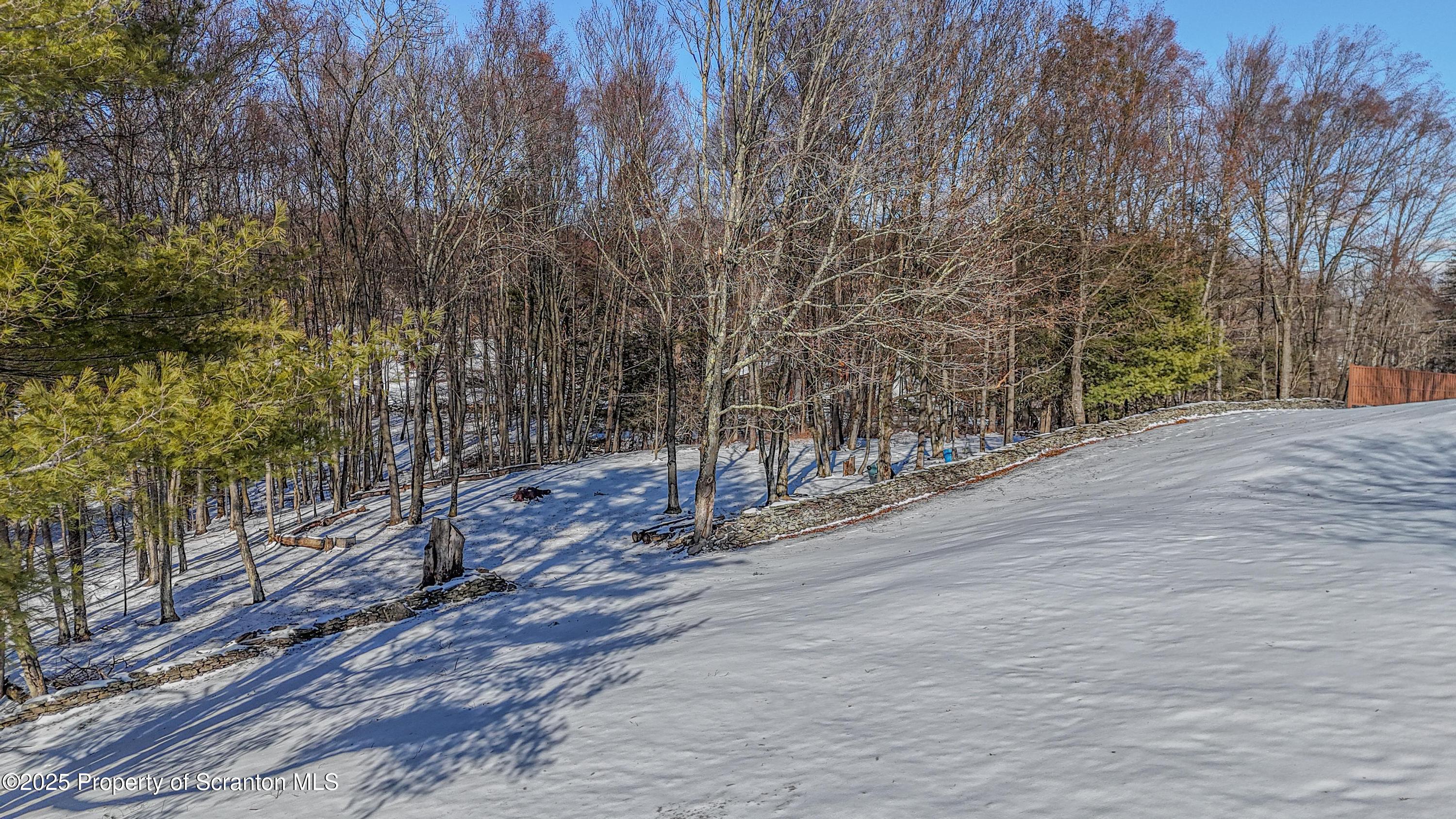 337 Ross Road Dalton, PA 18414 - Photo 43 of 45 a view of a backyard of the house
