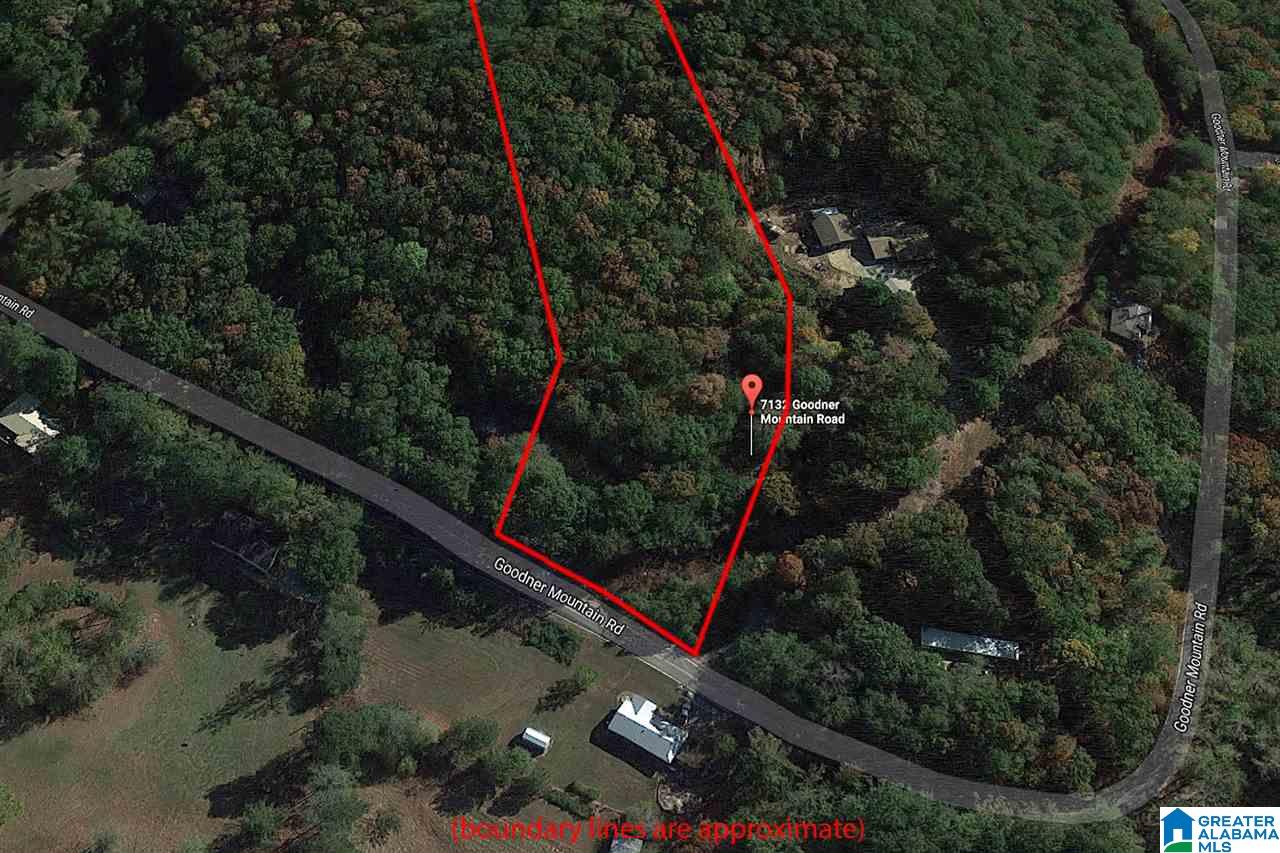 7132 Goodner Mountain Road Pinson, AL 35126 - Photo 4 of 14