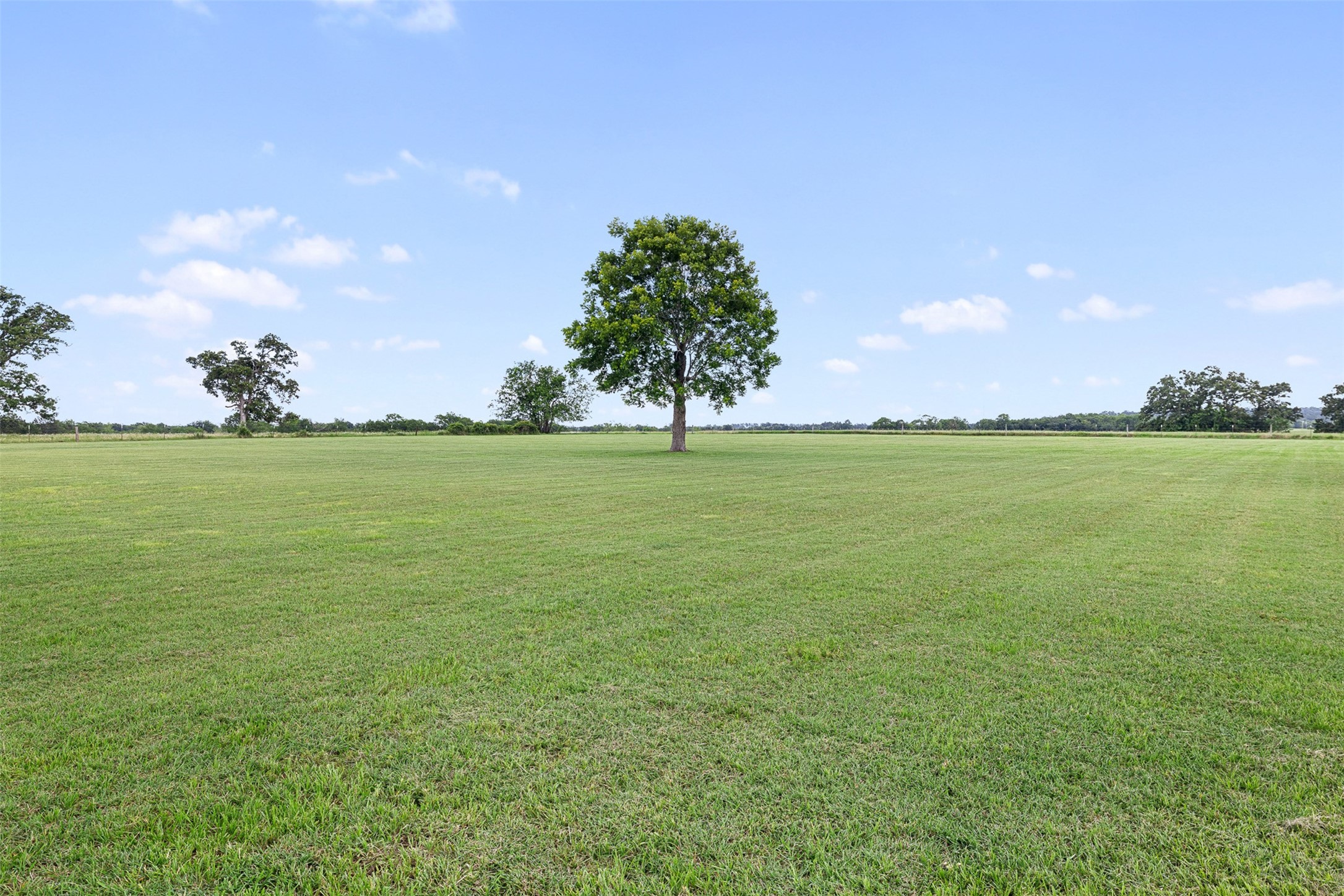 237 Morgan Road Bedias, TX 77831 - Photo 34 of 50