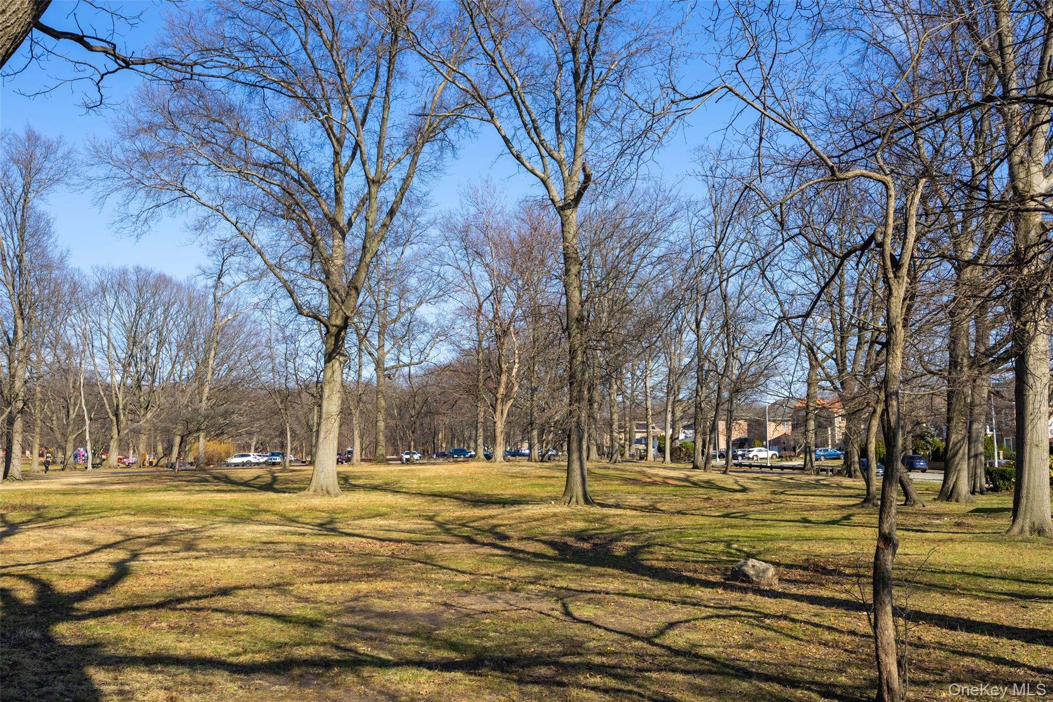 224-47 76th Road Queens, NY 11364 - Photo 49 of 49