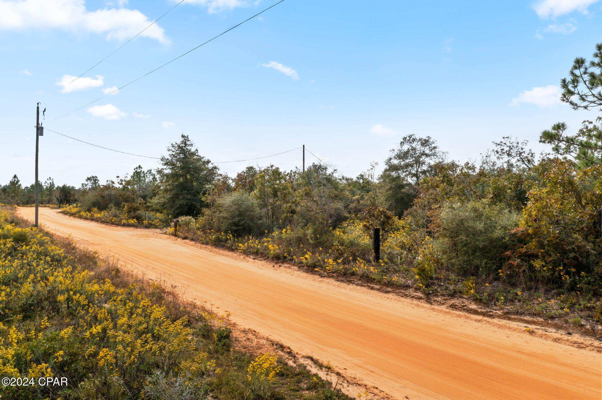 0 Powerline Road Chipley, FL 32428 - Photo 4 of 9
