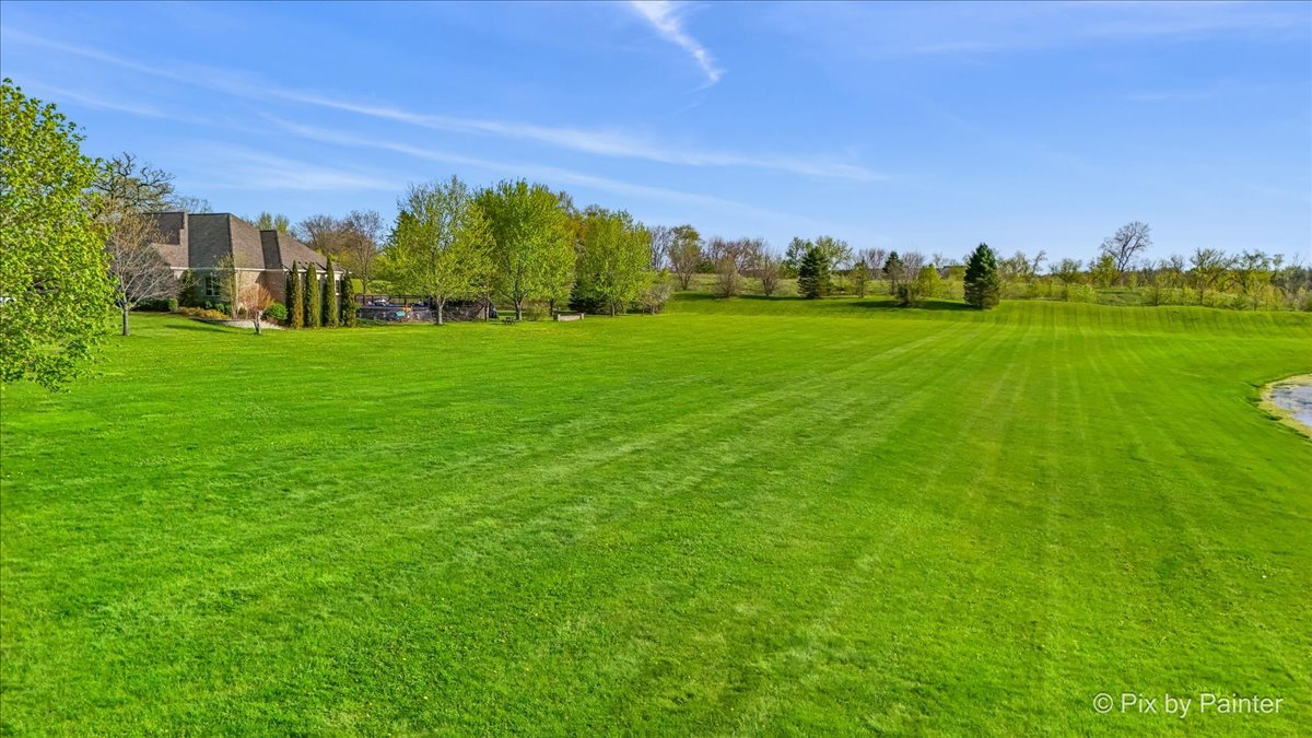 8219 Squirrel Drive Spring Grove, IL 60081 - Photo 11 of 29