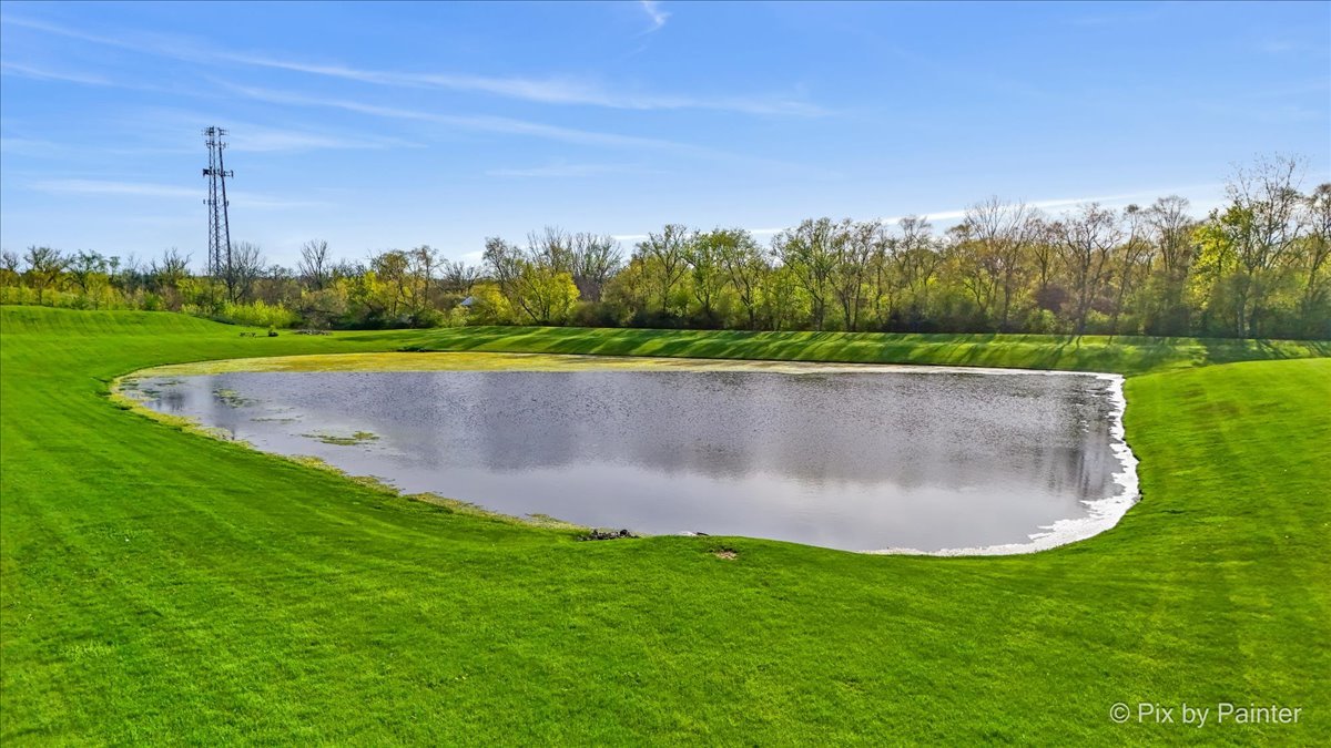 8219 Squirrel Drive Spring Grove, IL 60081 - Photo 12 of 29