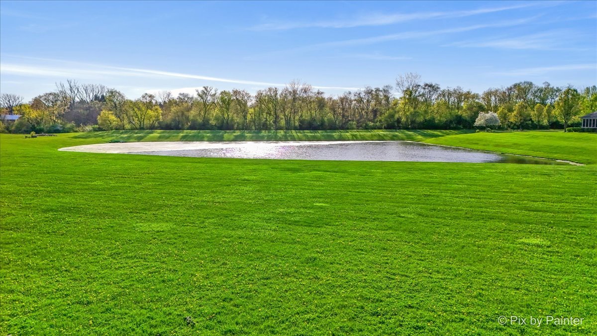 8219 Squirrel Drive Spring Grove, IL 60081 - Photo 13 of 29