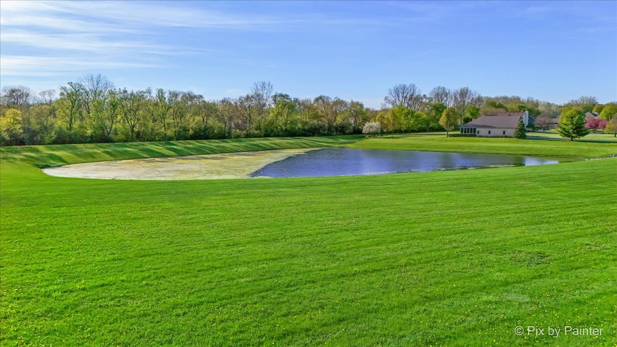 8219 Squirrel Drive Spring Grove, IL 60081 - Photo 14 of 29