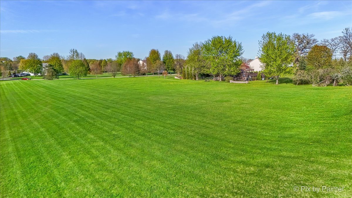 8219 Squirrel Drive Spring Grove, IL 60081 - Photo 16 of 29