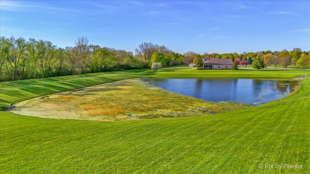 8219 Squirrel Drive Spring Grove, IL 60081 - Photo 17 of 29
