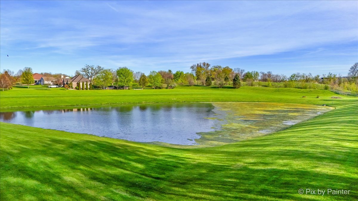 8219 Squirrel Drive Spring Grove, IL 60081 - Photo 20 of 29